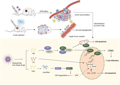 Supramolecular nanomedicine in the intelligent cancer therapy: recent advances and future